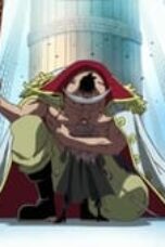 One Piece Season 13 Episode 472