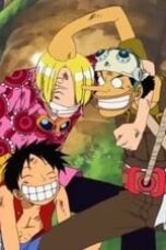 One Piece Season 6 Episode 164