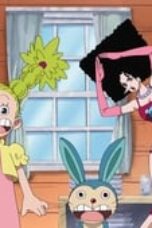 One Piece Season 9 Episode 314