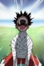 One Piece Season 13 Episode 491