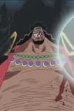 One Piece Season 13 Episode 486