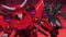 Yoroi-Shinden Samurai Troopers Season 1 Episode 8