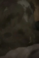 The Beginning After the End Season 2 Episode 5