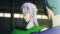 Yoroi-Shinden Samurai Troopers Season 1 Part 2 Episode 4