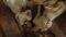 Monster: The Lizzie Borden Story Season 1 Episode 2