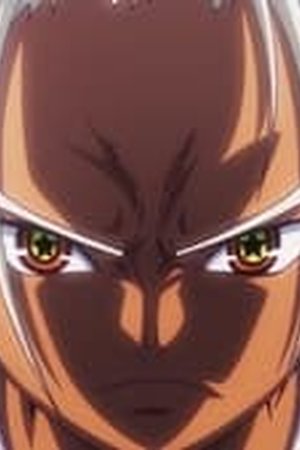 One Piece Season 22 Episode 1101
