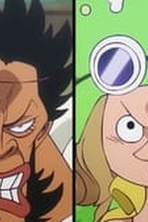 One Piece Season 22 Episode 1118
